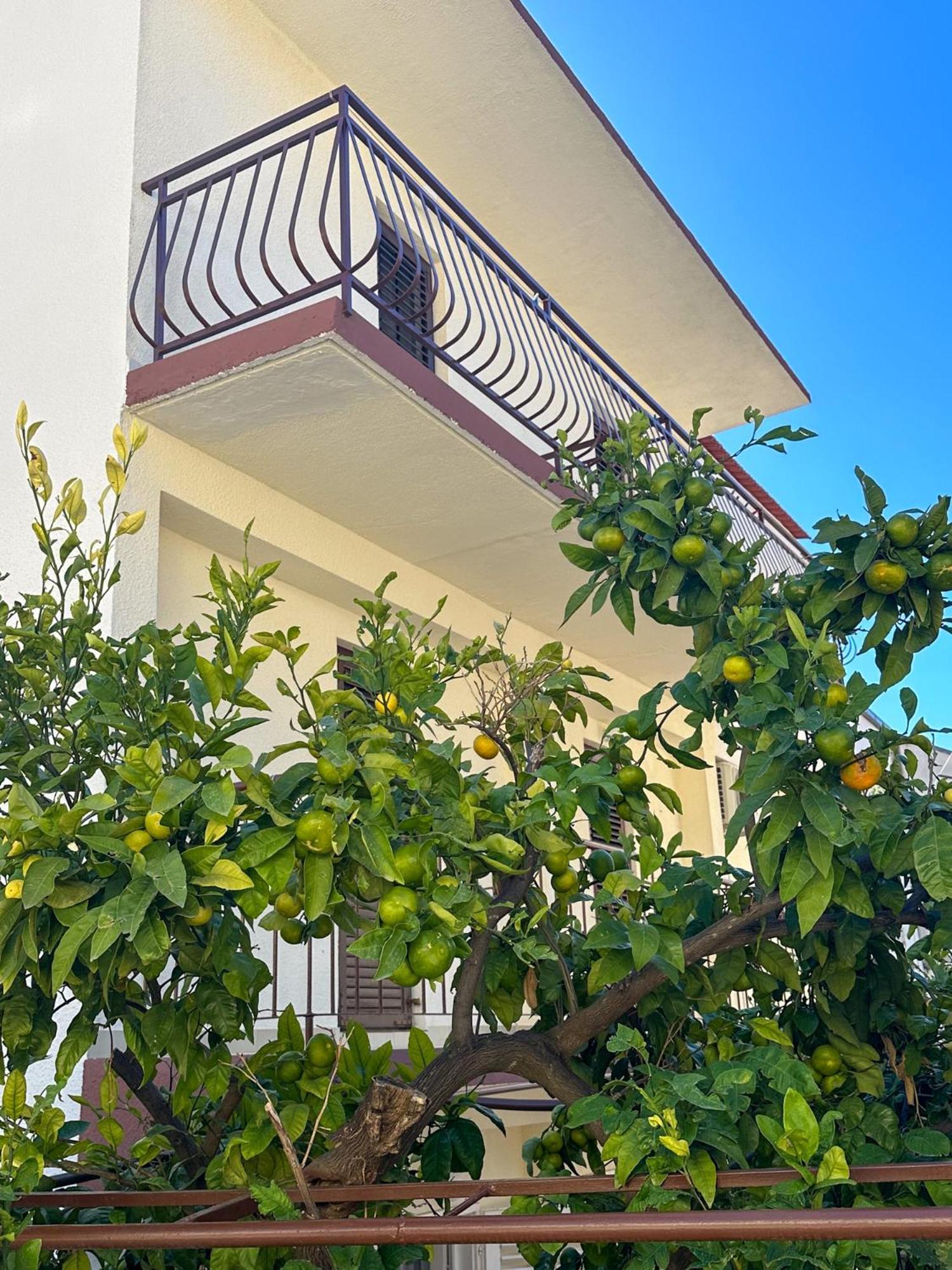 Niko Apartments 德尔韦尼克 外观 照片
